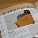 domidrewno_renowacja_arkady (8 of 9)