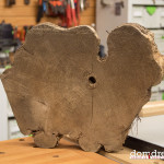 domidrewno_robinia_ (1 of 9)