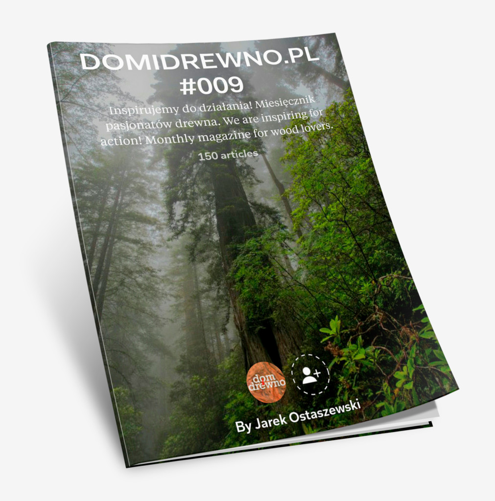 domidreno_mag_9